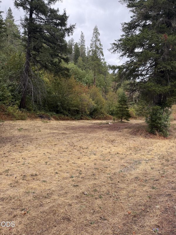 Ulrich Road, Prospect, OR 97536