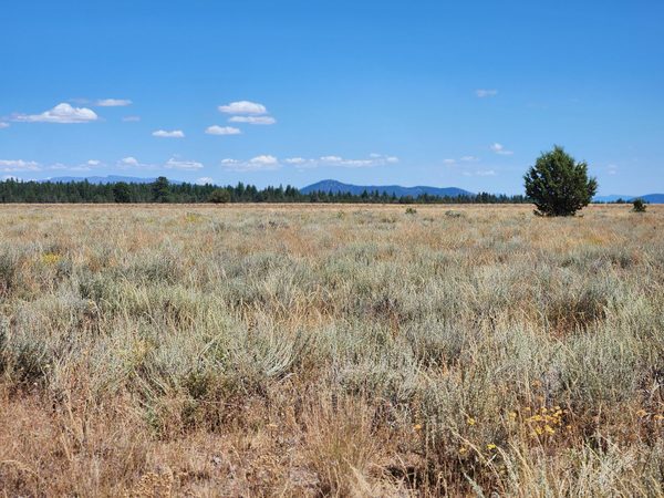 Tableland Road, Sprague River, OR 97639