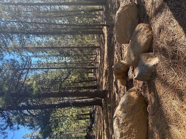 Hwy 58, Lot #201, Crescent Lake, OR 97733