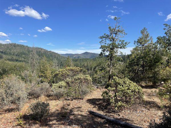 Loper Lane, Trail, OR 97541
