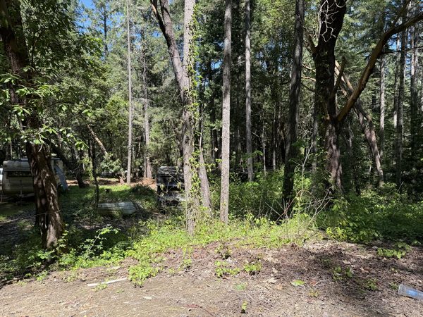 Sunny Valley Loop, Wolf Creek, OR 97497